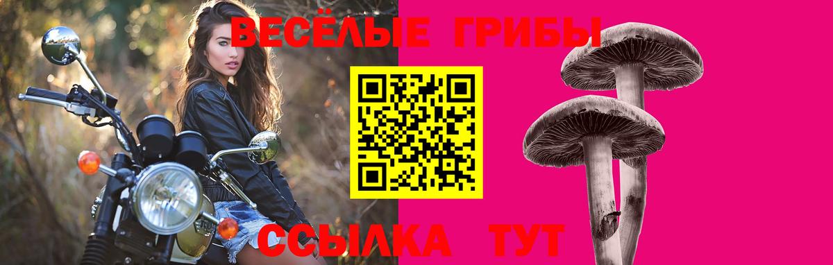 Псилоцибиновые грибы ЛСД Южноуральск