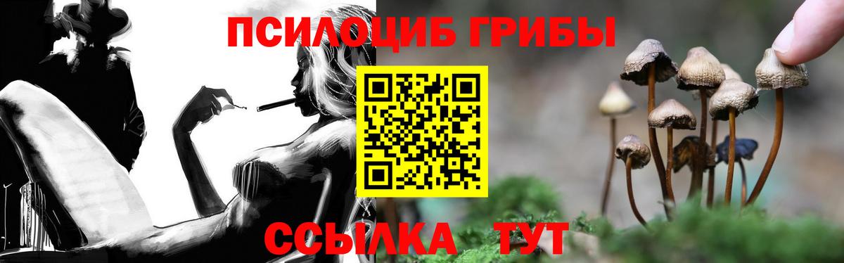 Псилоцибиновые грибы Psilocybe  Вход с VPN  даркнет сайт  Южноуральск  Галлюциногенные грибы Psilocybine cubensis 